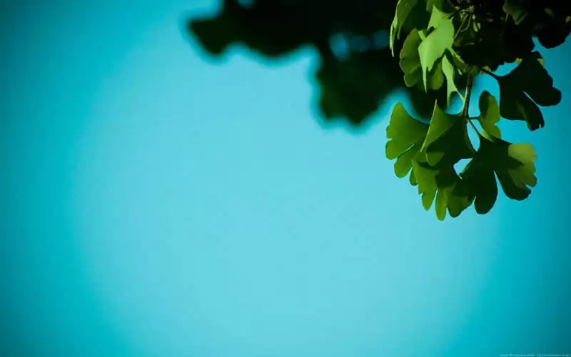 �����˵�����Ȧ�ճ��İ�һ��һ������æ����