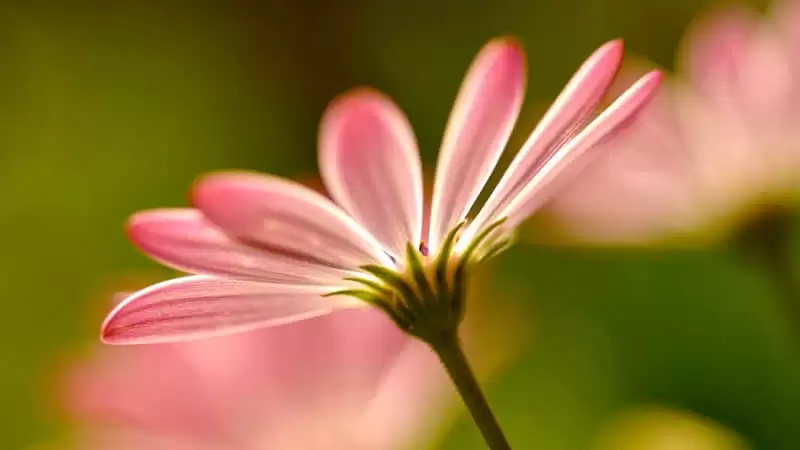 ���ṩ������ֵ��Ů��û�������ܿ���