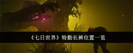 �����������ڳ���λ������� ���ڳ���λ��Ѱ�Ҳ�������2026