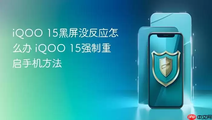 iQOO 15����û��Ӧ��ô�� iQOO 15ǿ�������ֻ�����