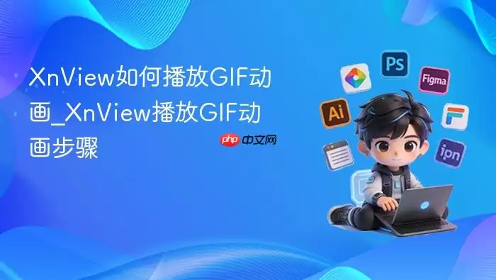 XnView��β���GIF����_XnView����GIF��������