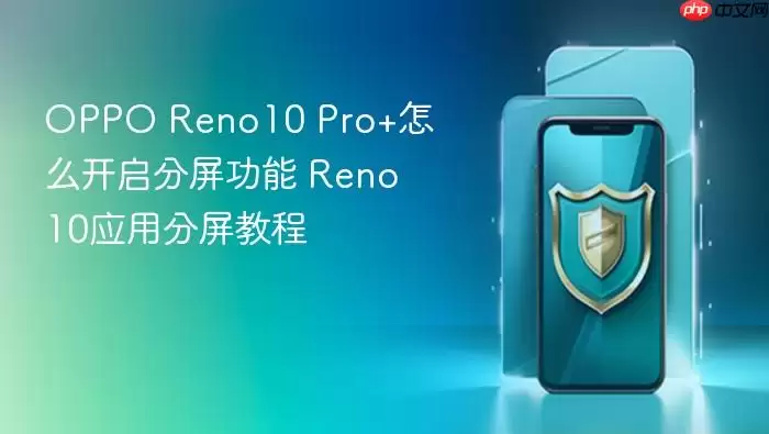 OPPO Reno10 Pro+��ô������������ Reno10Ӧ�÷����̳�