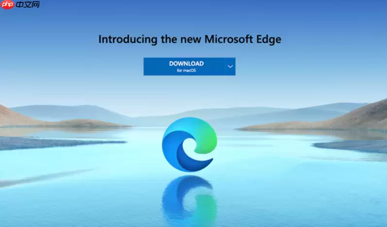 Edge�������ѧ�������ôʶ����д_Edge�������ʽ���߼��÷�