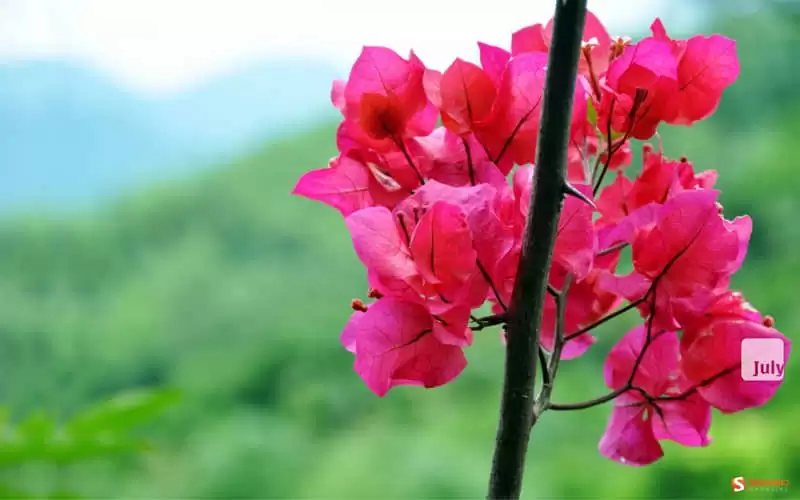 һ��Ů�˲���ʧȥ��Ż�����10�ֱ��ֱ𲻶�
