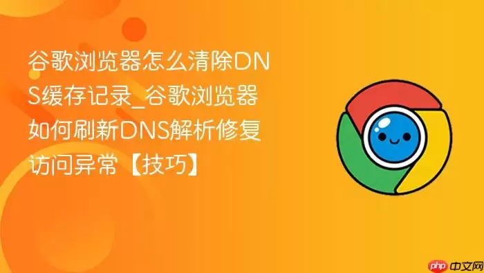 �ȸ��������ô���DNS�����¼_�ȸ���������ˢ��DNS�����޸������쳣�����ɡ�