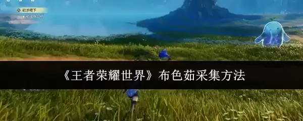 ������ҫ���粼ɫ����ô�ɼ�  ������ҫ���粼ɫ��ɼ�����
