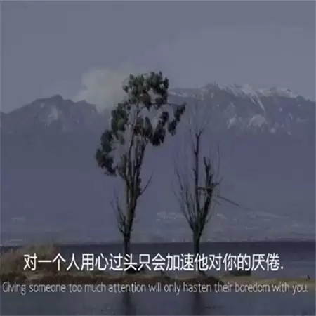 qq����Ů���������˸�Ӣ��(��ѡ100��)