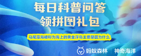 ��β�庣����Ϊ���ϵĻƽ𸡵���Ҫ����Ϊʲô