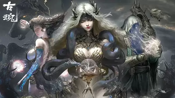 �Ż��ϵ�汾�꿨���乥��