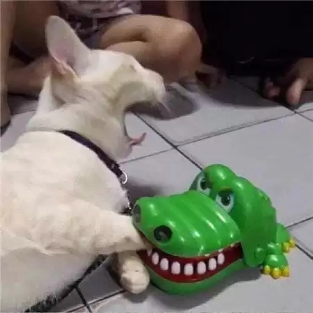 �����˸�����Ů��(��ѡ100��)