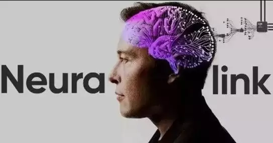 ��˹��Neuralink�����������ˣ��Ի�оƬֲ��ʱ�������