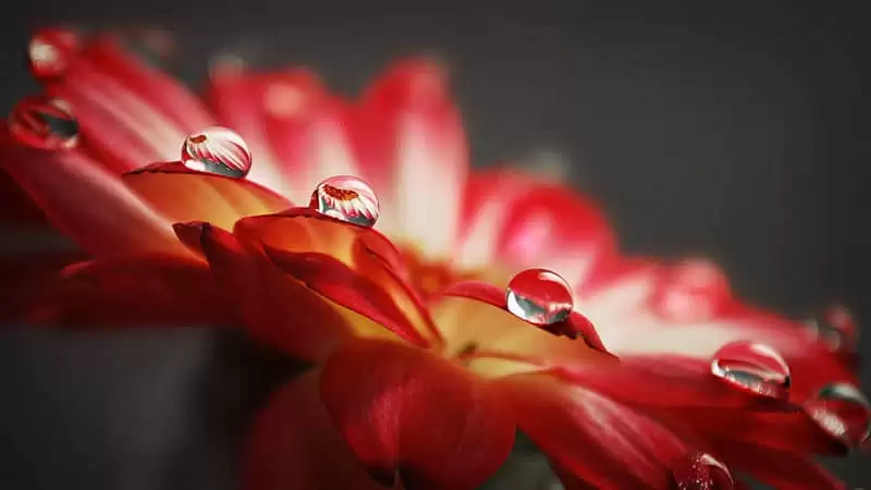 /. 5�µ�һ������������Ȧ�߼��о���