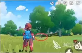 ��������������ʯ��ô���