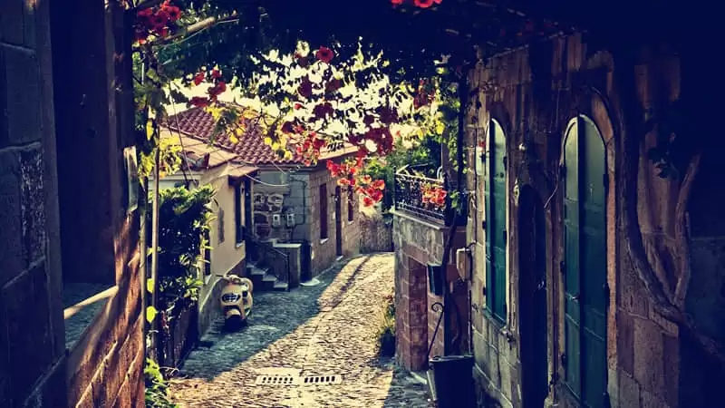 ��Ⱥ��İ����㷢һ����
