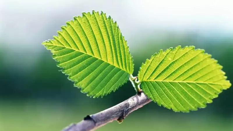 ��Щ����һ�۾��޵��İ�������Ϣ