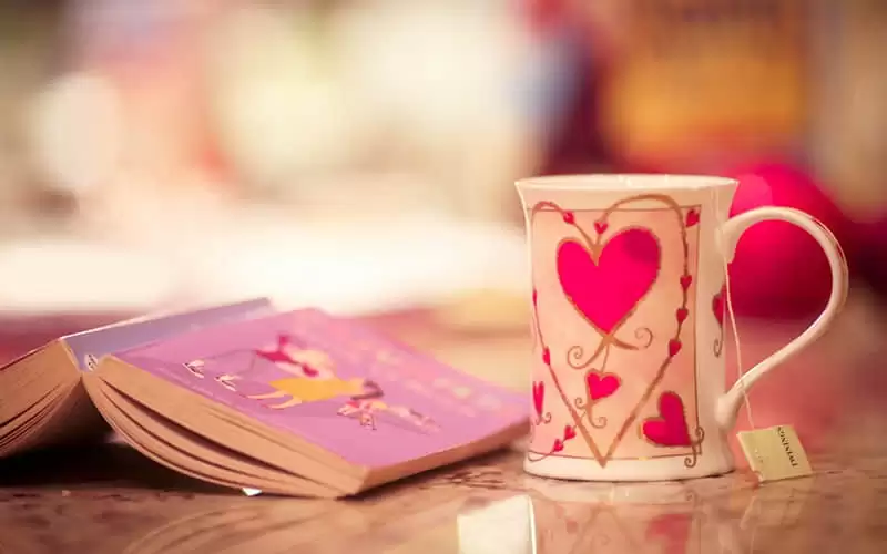 "�ʺ����·�������Ȧ�İ�"