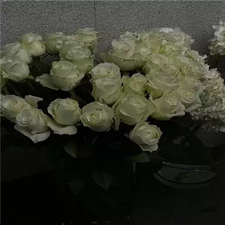 ��ʽ�ǳ��˸�Ů������������(��ѡ100��)