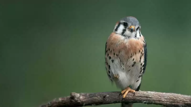 �����������������ƴ����Ǯ