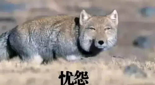 ���������˲غ���������-���������˲غ����ò�����