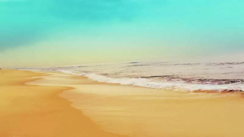 ��һ���ñ���������