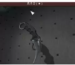 csgo���Ʊ�ǩʹ�ô����Ƕ���
