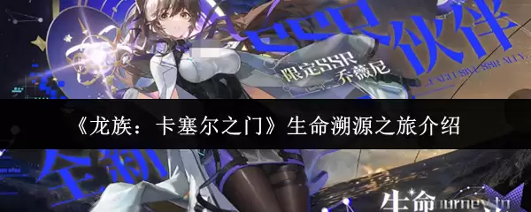 �����壺������֮�š�������Դ֮�ý���