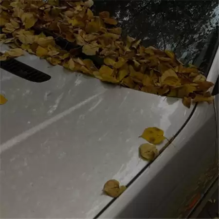 Ů�������˸а�������(��ѡ100��)