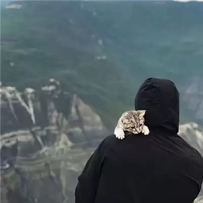 ��������������ѡ100������ô��Ϊʲô�𣿸���ȫ�嵥