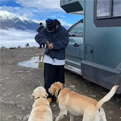 ����Ӣ���������������ؿ�100������ôѡ������