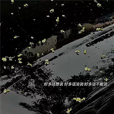 �����˸�Ӣ��������ȫ��100�����ѡ��