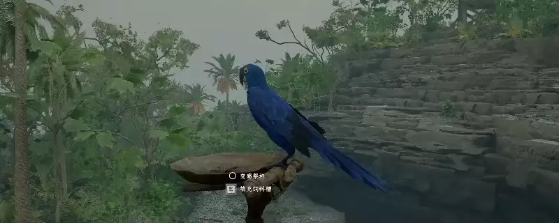 ����ɫɳĮ���������������ôץ����ϸ��׽���Խ���