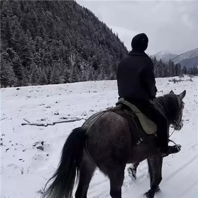 ����ά������Ӣ�İ棺100����ѡ�Ƽ�