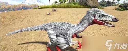 ������������ٷ�ѱ��������ϸ�����뼼��