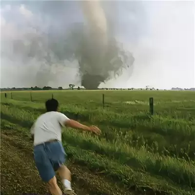 ����������ѡ100�������������Լ���Ƽ�