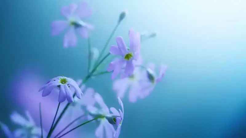 ����Ů�˷��ĸɾ�����