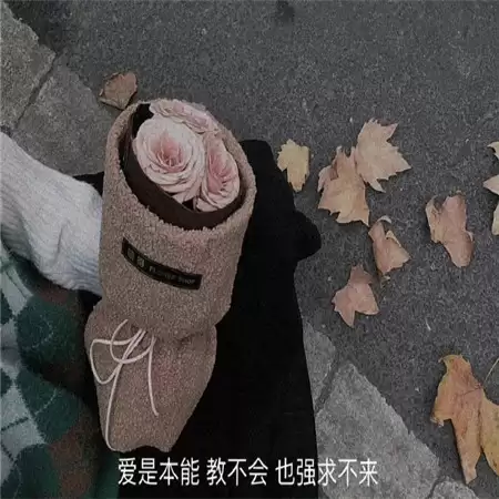 �����˸�������ôȡ��100����ѡ�Ƽ�