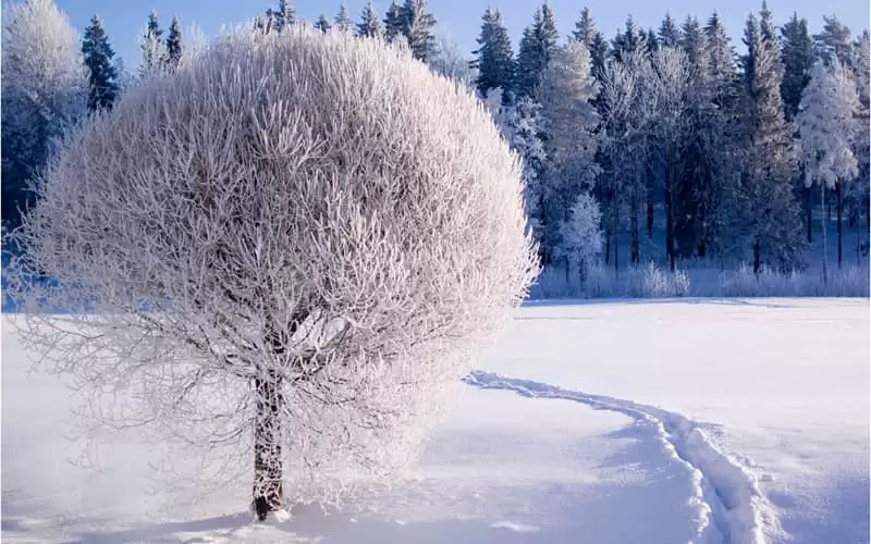 �ܰѶ���������������