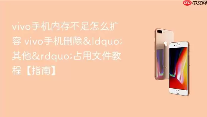 vivo�ֻ��ڴ治��������������ļ��ͷſռ�