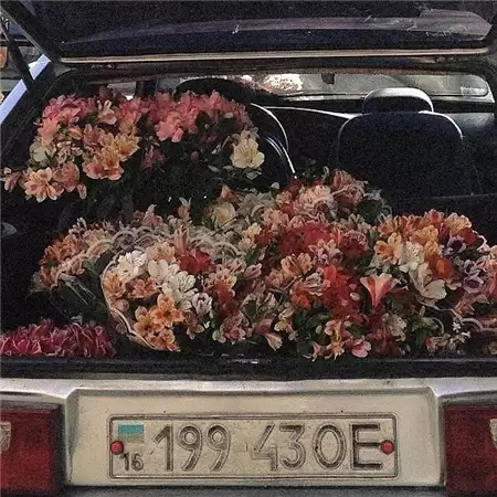 �����˸�����QQ������ѡ100��