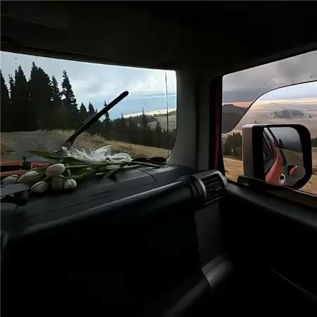 �����˸�ɥϵͷ��������ȫ | ��ѡ100�״����Ƽ�