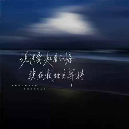�˸���ī��������������ѡ100������������ѡ�ý��飩
