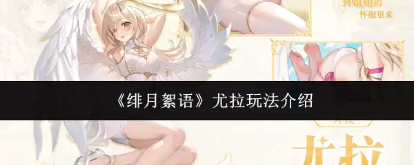 ��������������ô�棿����ϸ���ܣ�