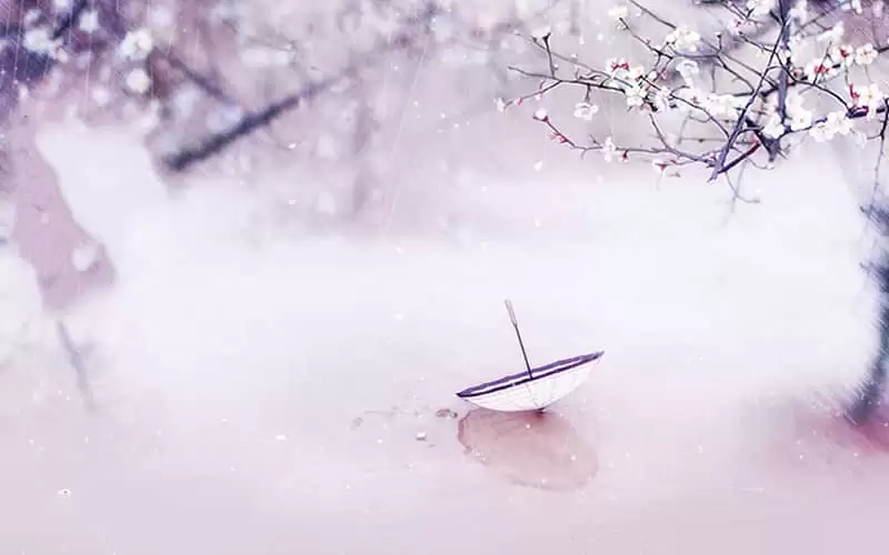 �黰˵�ú������ܲ���