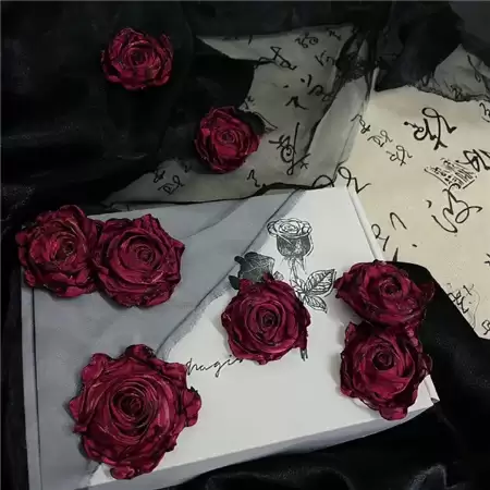 �˸�����Ů��������̣���ѡ100��������������ѡ����