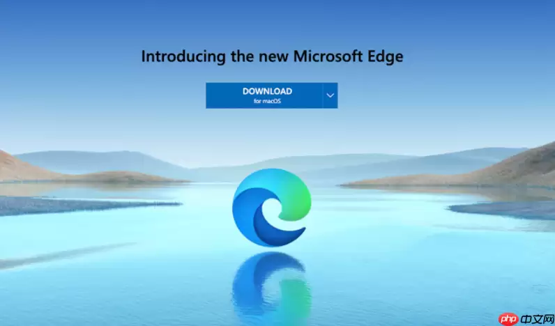 Edge�������ν�Ĭ��������������Ϊ�ٶ�