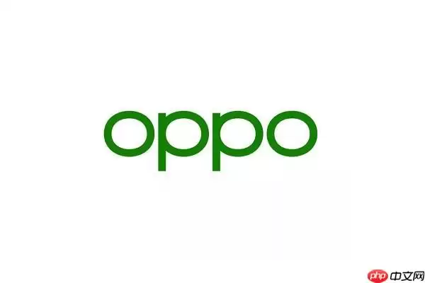 OPPO�ֻ�ָ�ƽ���������¼��ʶ����ϸ�̳�