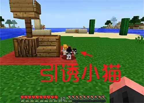 �ҵ�����è�������̳̣����ֺÿ��Ľ��췽��