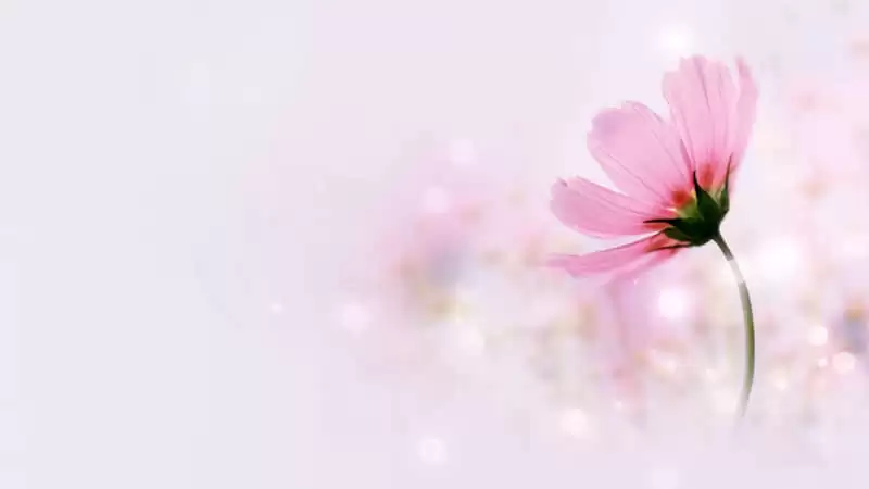 �����������İ������Ҽ���ީ��ůީ���ĵĽ���10��˲���Ʒ�