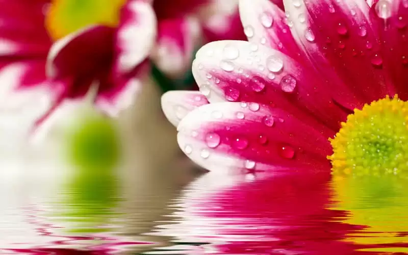 �簲��������ů����������������