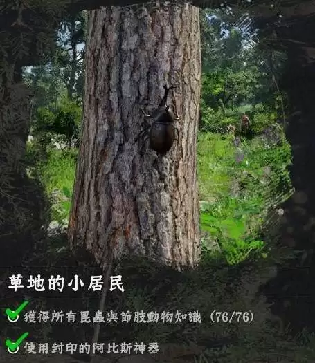 ��ɫɳĮ��������λ����ˢ�µ����